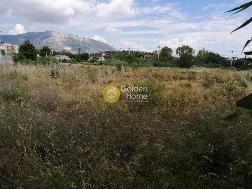 Building Plot in Center, Koropi — Photo 8 of 11