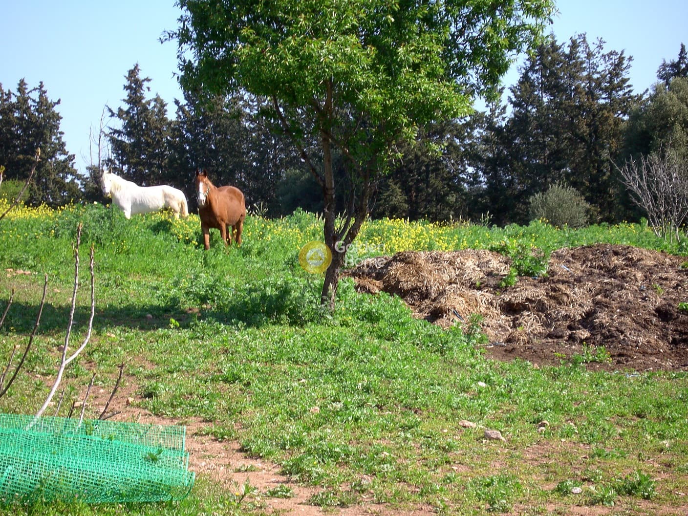 Οικόπεδο στην Λεωφ. Βάρης Κορωπίου, Κορωπί — Φωτογραφία 11 από 18