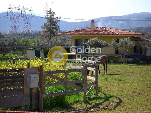Οικόπεδο στην Λεωφ. Βάρης Κορωπίου, Κορωπί — Φωτογραφία 15 από 18