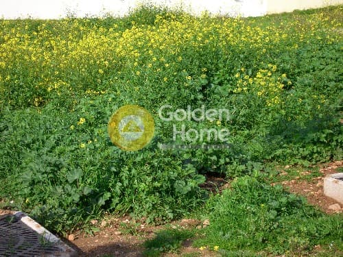 Οικόπεδο στην Καλύβια, Καλύβια Θορικού