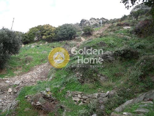 Building Plot in Chora, Andros — Photo 7 of 9