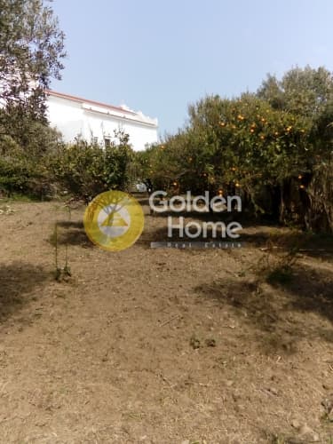 Building Plot in Kalloni, Tinos — Photo 7 of 12