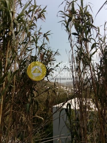 Building Plot in Kalloni, Tinos — Photo 11 of 12
