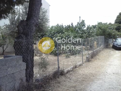 Building Plot in Agios Serafeim, Artemida (Loutsa) — Photo 2 of 6