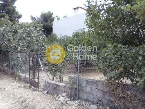 Building Plot in Agios Serafeim, Artemida (Loutsa) — Photo 6 of 6