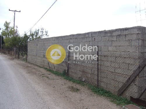 Αγροτεμάχιο στην Κέντρο, Κορωπί — Φωτογραφία 3 από 6