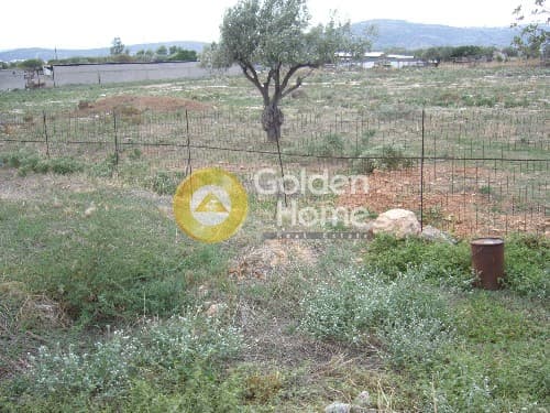 Αγροτεμάχιο στην Κέντρο, Κορωπί — Φωτογραφία 5 από 6