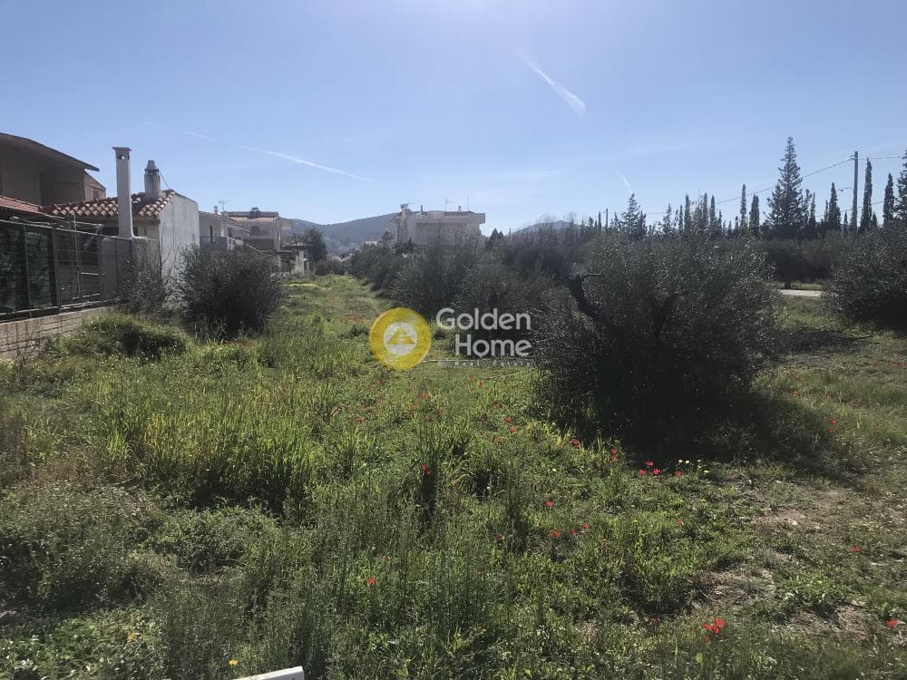 Parcel in Agios Nikolaos, Anavissos — Photo 5 of 11
