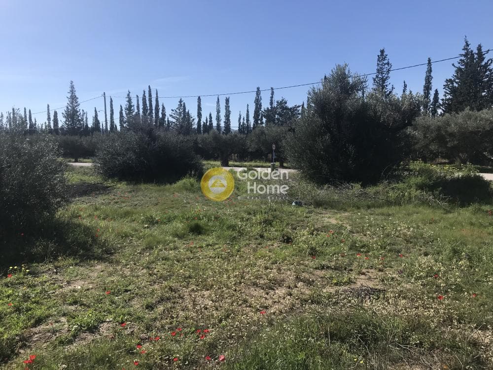 Parcel in Agios Nikolaos, Anavissos — Photo 6 of 11
