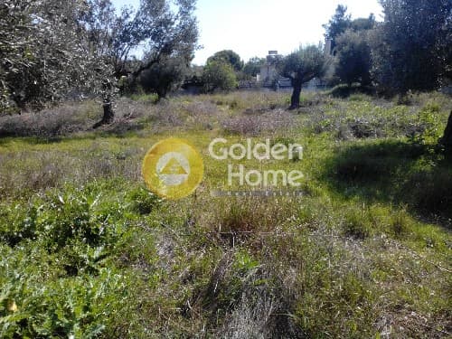 Parcel in Agios Nikolaos, Anavissos — Photo 8 of 11