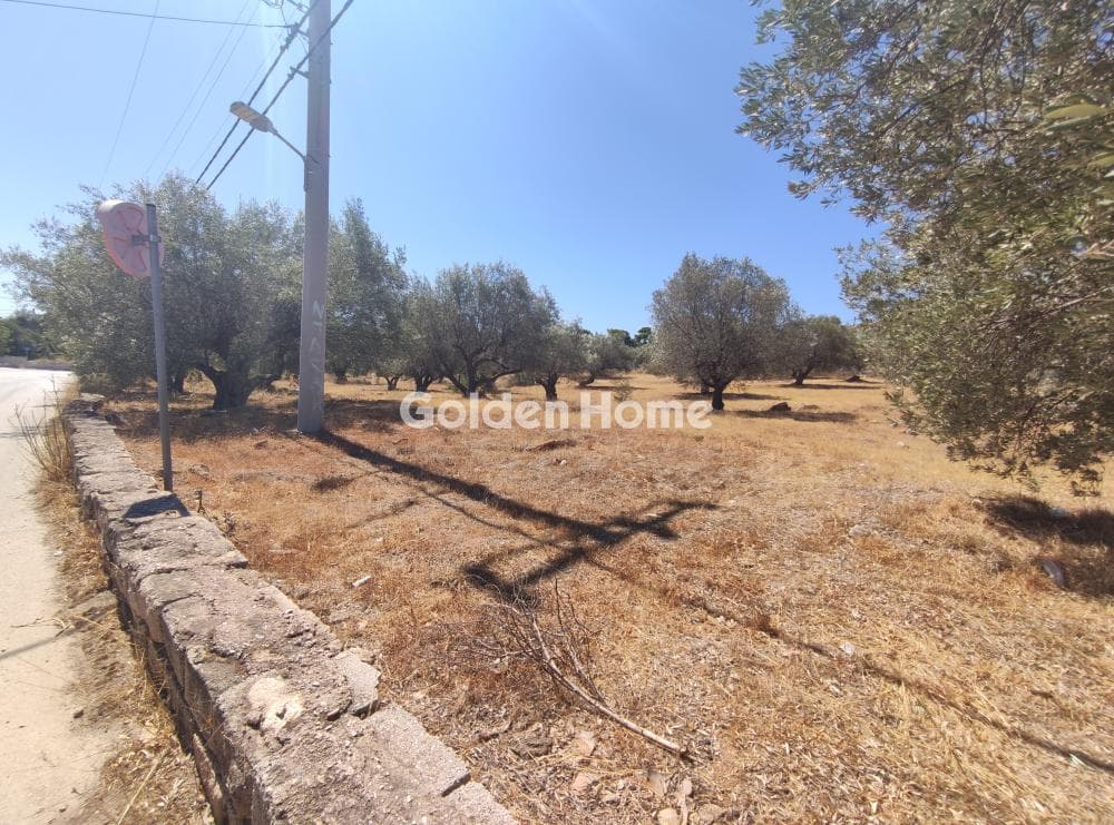 Parcel in Agios Nikolaos, Anavissos — Photo 1 of 11