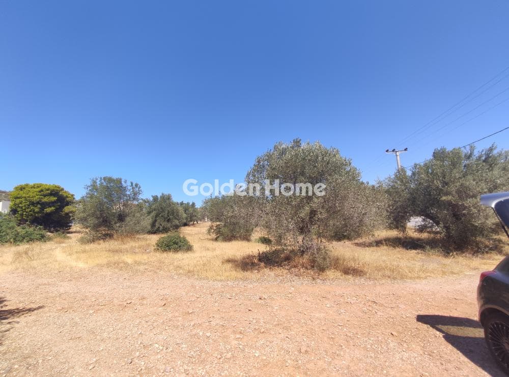 Parcel in Agios Nikolaos, Anavissos — Photo 7 of 11