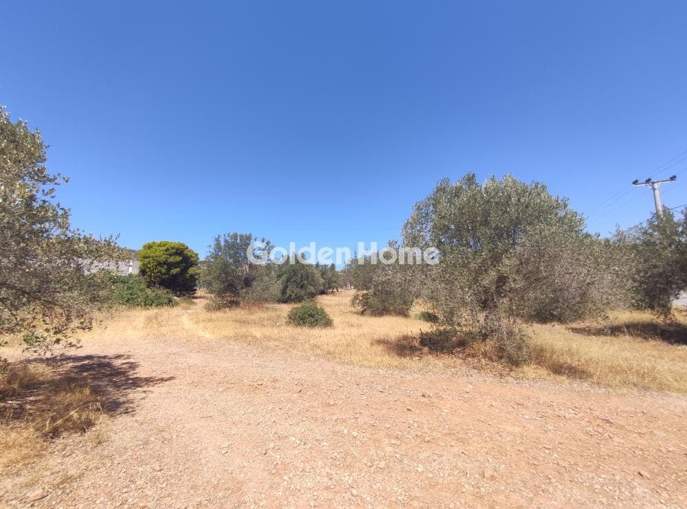 Parcel in Agios Nikolaos, Anavissos — Photo 3 of 11