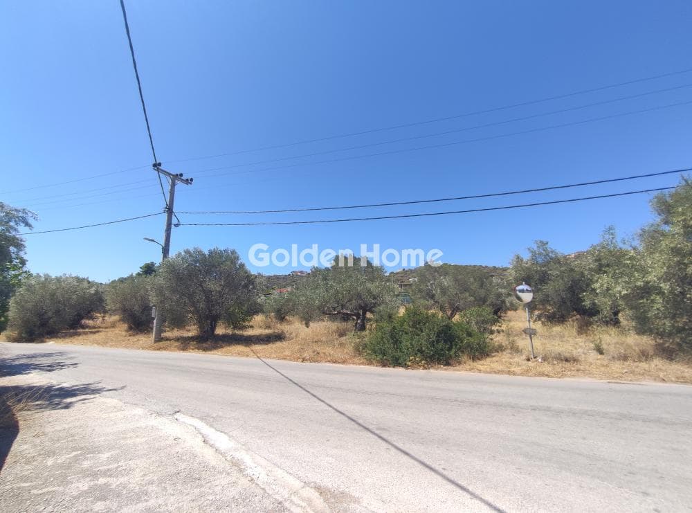 Parcel in Agios Nikolaos, Anavissos — Photo 4 of 11
