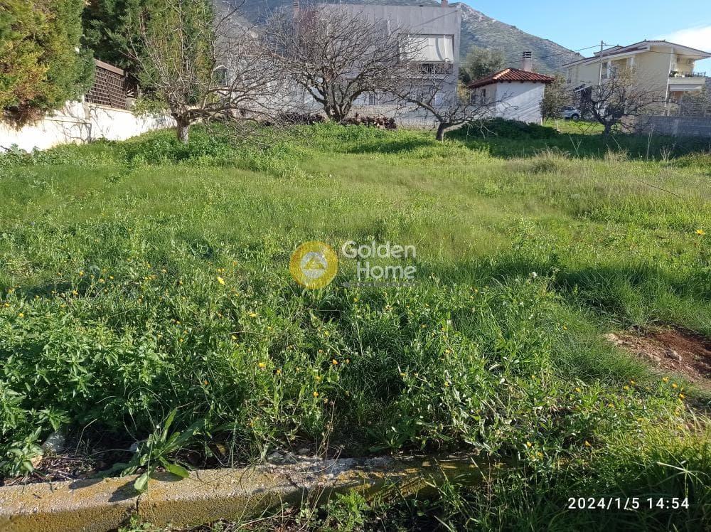 Building Plot in Galazia akti, Kalivia Thorikou — Photo 3 of 6