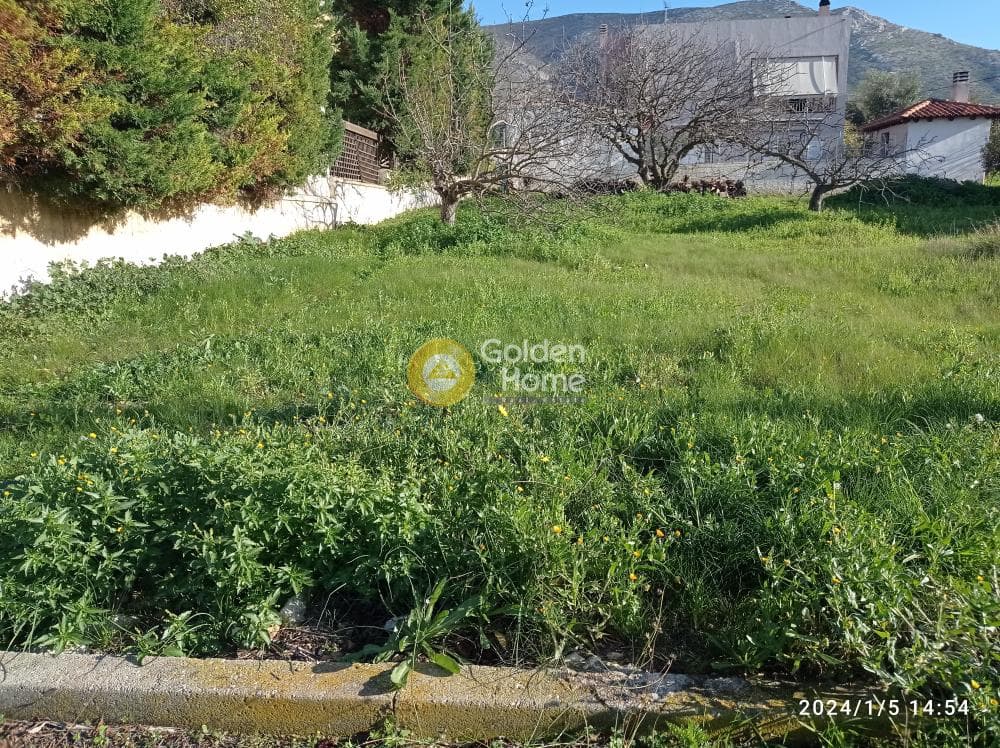 Building Plot in Galazia akti, Kalivia Thorikou — Photo 4 of 6