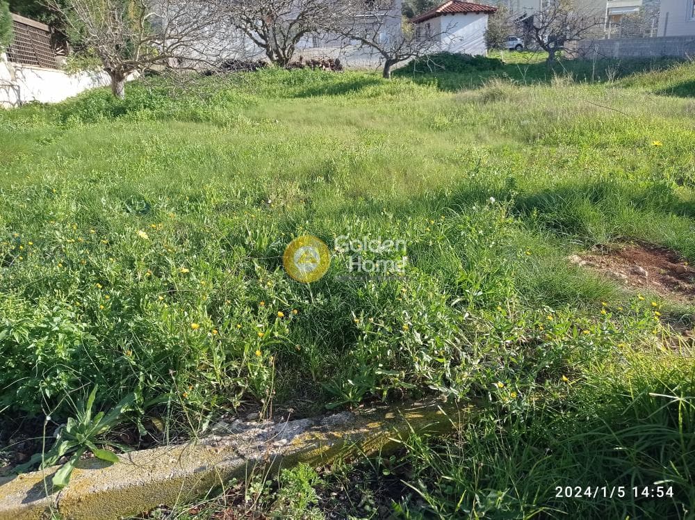 Building Plot in Galazia akti, Kalivia Thorikou — Photo 5 of 6