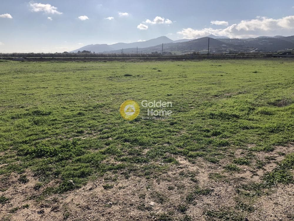 Building Plot in Isterni, Paros — Photo 1 of 6