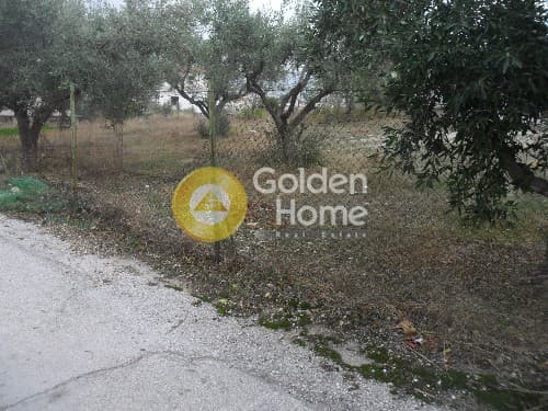 Building Plot in Kalivia, Kalivia Thorikou — Photo 6 of 9