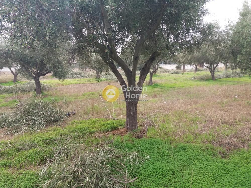 Οικόπεδο στην Καλύβια, Καλύβια Θορικού — Φωτογραφία 1 από 7