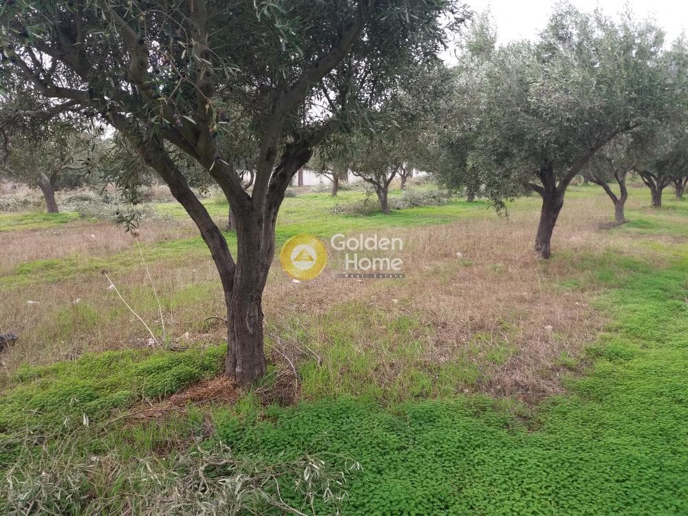 Οικόπεδο στην Καλύβια, Καλύβια Θορικού — Φωτογραφία 6 από 7