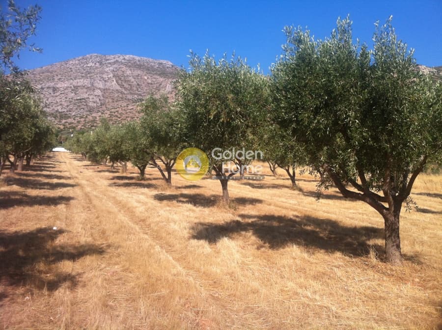 Οικόπεδο στην Καλύβια, Καλύβια Θορικού — Φωτογραφία 3 από 7