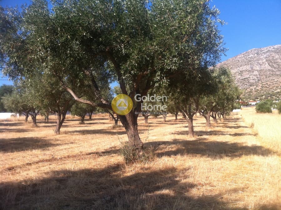 Οικόπεδο στην Καλύβια, Καλύβια Θορικού — Φωτογραφία 5 από 7
