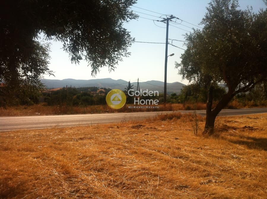 Οικόπεδο στην Καλύβια, Καλύβια Θορικού — Φωτογραφία 7 από 7