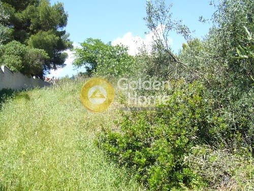 Building Plot in Porto Rafti, Vravrona — Photo 6 of 6