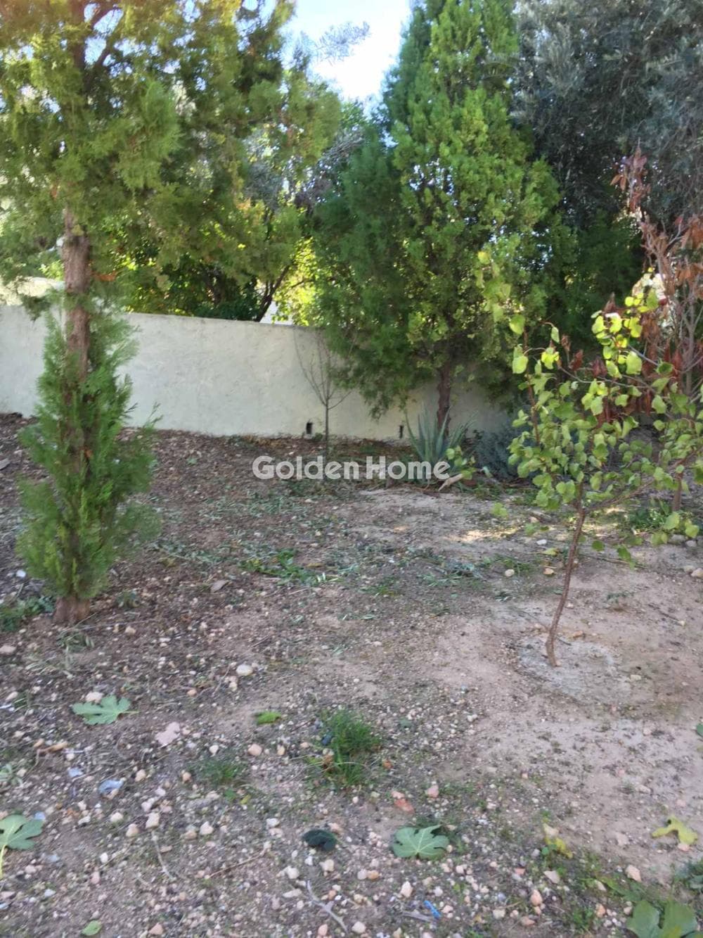 Οικόπεδο στην Κυψέλη, Αίγινα — Φωτογραφία 6 από 6