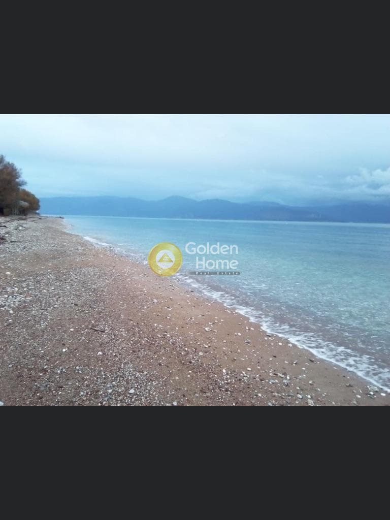 Οικόπεδο στην Ελίκη, Διακοπτό — Φωτογραφία 6 από 8