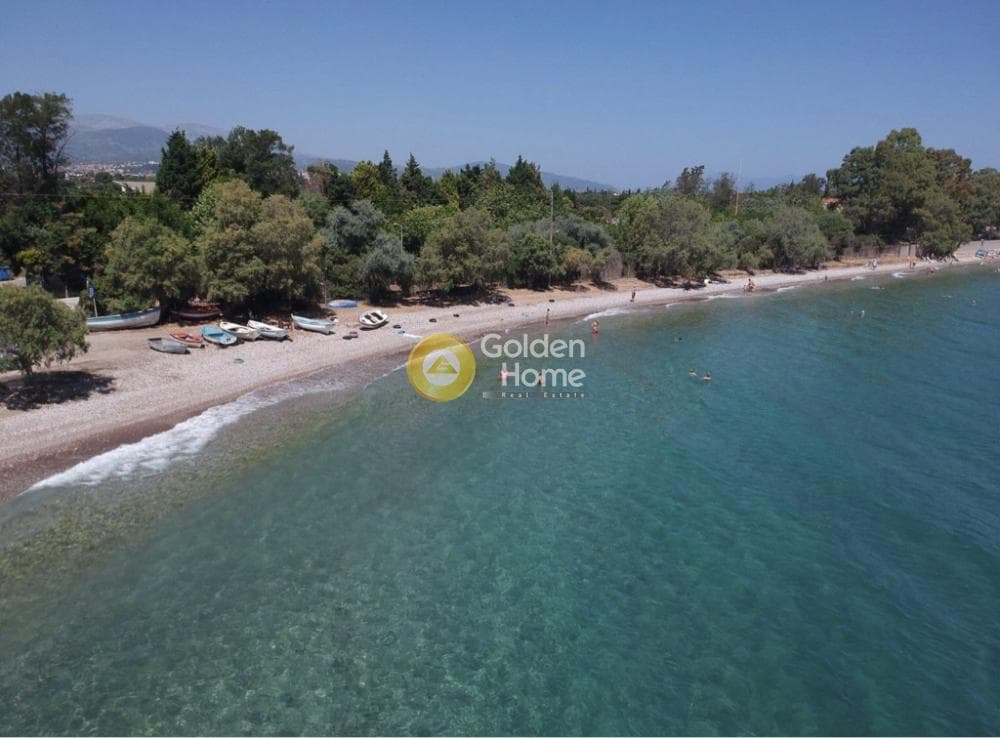 Οικόπεδο στην Ελίκη, Διακοπτό — Φωτογραφία 4 από 8
