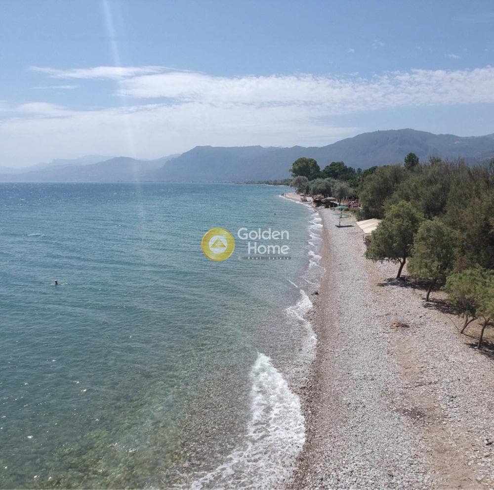 Οικόπεδο στην Ελίκη, Διακοπτό — Φωτογραφία 5 από 8