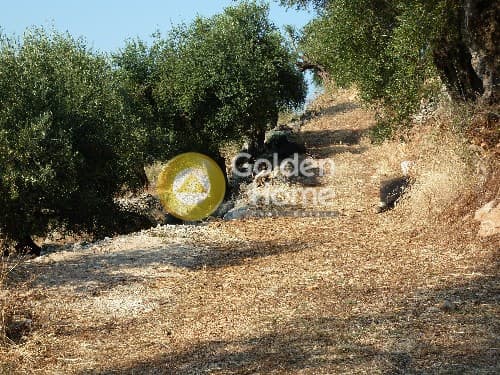 Αγροτεμάχιο στην Φαίακες, Κέρκυρα — Φωτογραφία 1 από 5