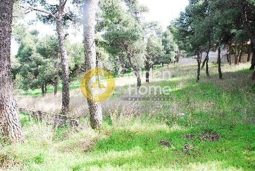 Building Plot in Rodopoli, Rodopoli — Photo 2 of 4