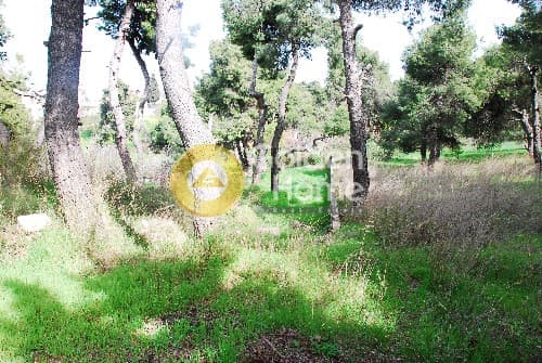 Building Plot in Rodopoli, Rodopoli — Photo 3 of 4