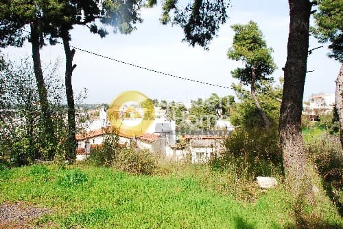 Building Plot in Rodopoli, Rodopoli — Photo 4 of 4