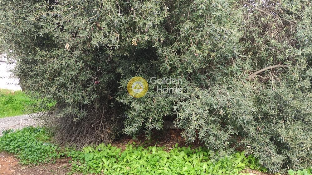 Οικόπεδο στην Σταυρός Γέρακα, Γέρακας