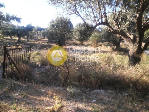 Οικόπεδο στην Φούρεσι, Γλυκά Νερά — Φωτογραφία 1 από 3