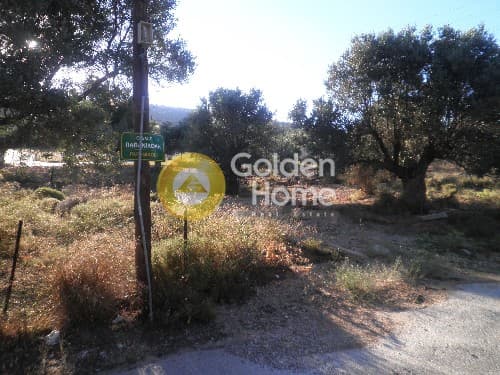 Οικόπεδο στην Φούρεσι, Γλυκά Νερά — Φωτογραφία 3 από 3