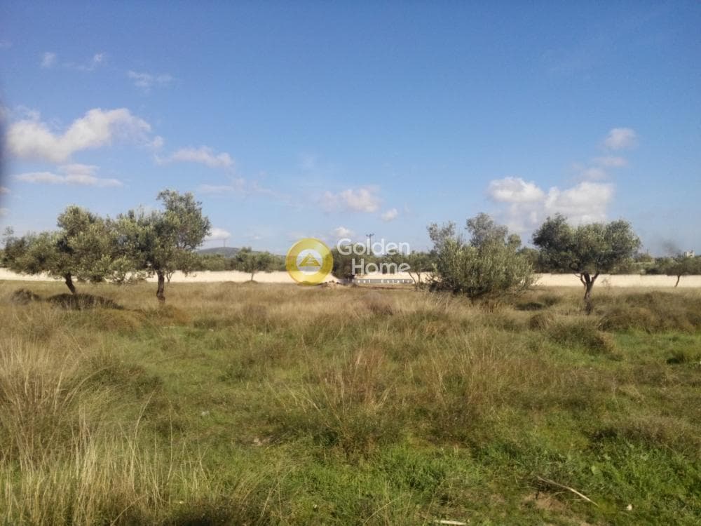 Οικόπεδο στην Κίτσι, Βάρη - Βάρκιζα — Φωτογραφία 4 από 5