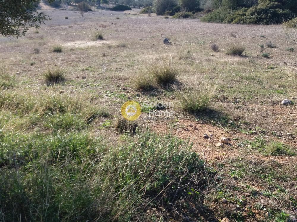 Οικόπεδο στην Κίτσι, Βάρη - Βάρκιζα — Φωτογραφία 3 από 5