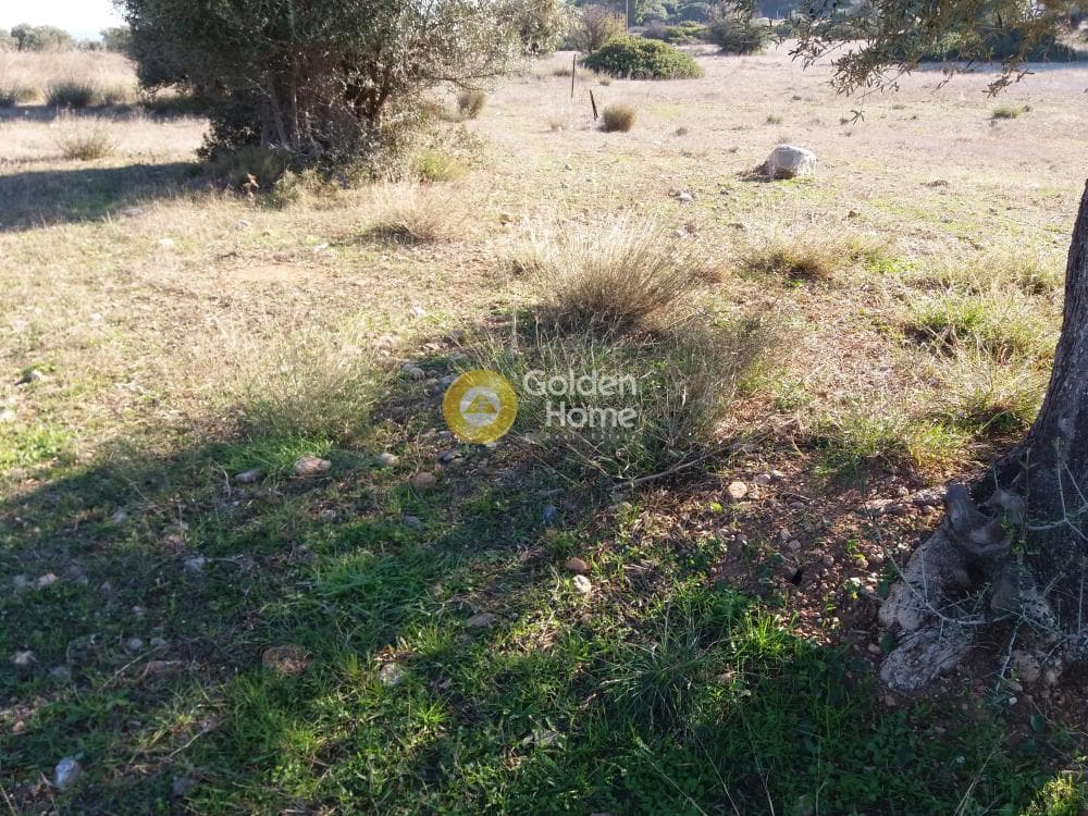 Οικόπεδο στην Κίτσι, Βάρη - Βάρκιζα — Φωτογραφία 2 από 5