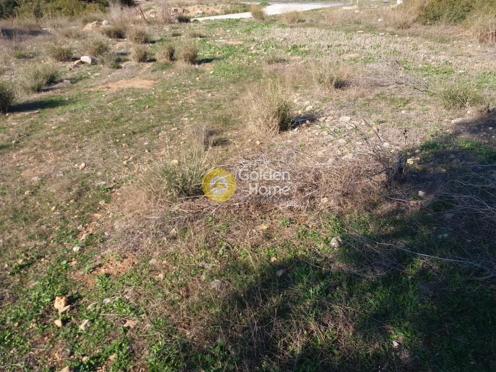 Οικόπεδο στην Κίτσι, Βάρη - Βάρκιζα — Φωτογραφία 5 από 5