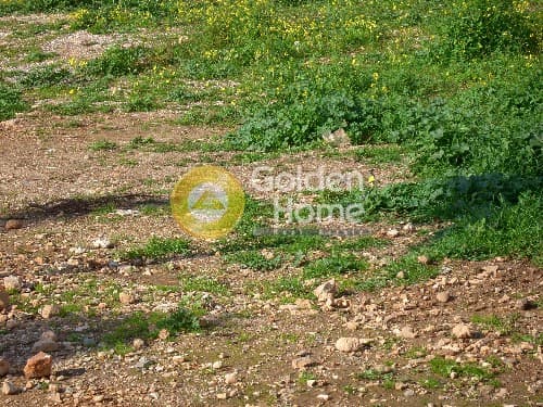 Building Plot in Perivolakia, Rafina — Photo 1 of 2