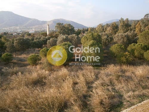Parcel in Anavyssos Center, Anavissos — Photo 4 of 4