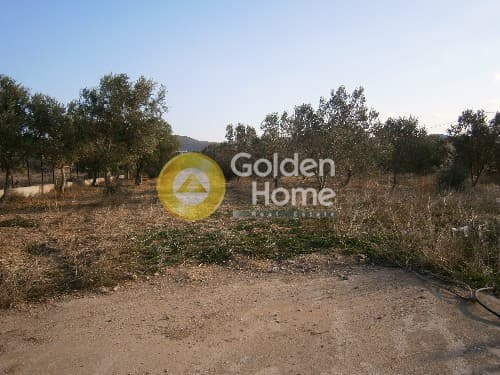 Parcel in Ari, Anavissos — Photo 2 of 3