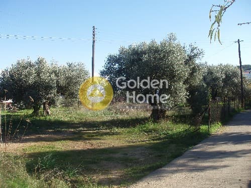 Οικόπεδο στην Μεσαγρός, Αίγινα — Φωτογραφία 1 από 9