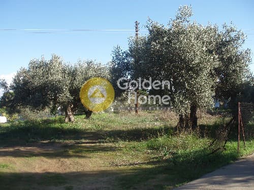 Οικόπεδο στην Μεσαγρός, Αίγινα — Φωτογραφία 2 από 9