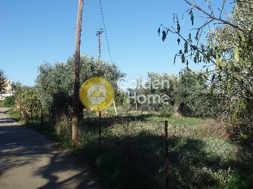 Οικόπεδο στην Μεσαγρός, Αίγινα — Φωτογραφία 3 από 9